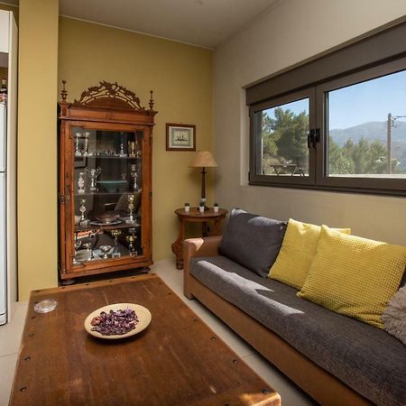 The Pine Flat Apartment Argostoli  Luaran gambar